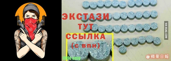 сатива Бородино
