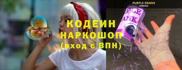 сатива Бородино