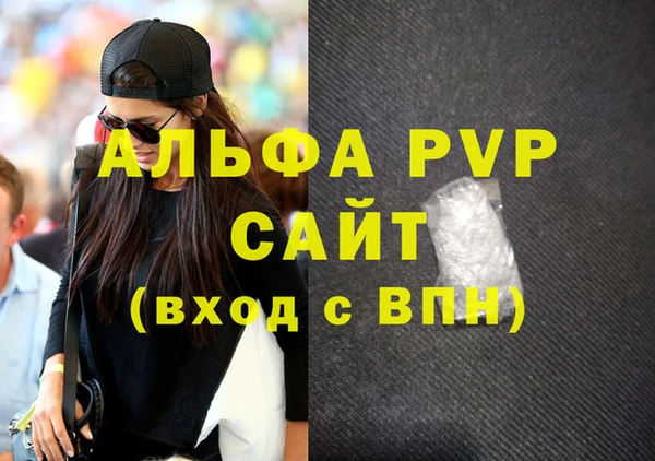 сатива Бородино