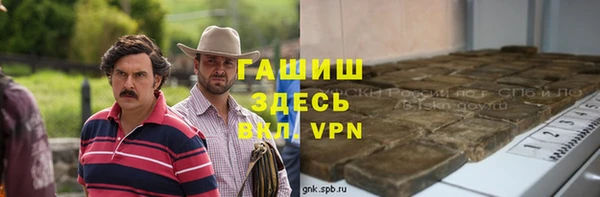 сатива Бородино