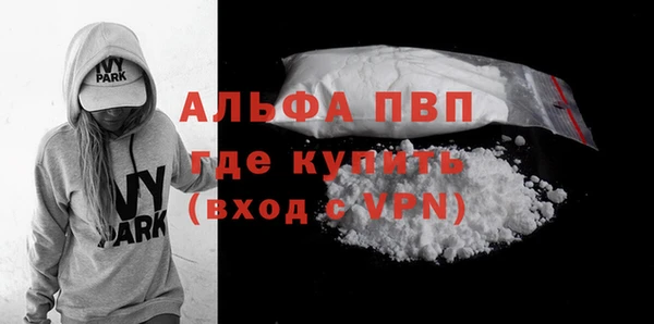 сатива Бородино