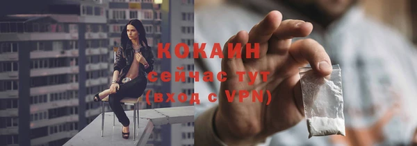 сатива Бородино