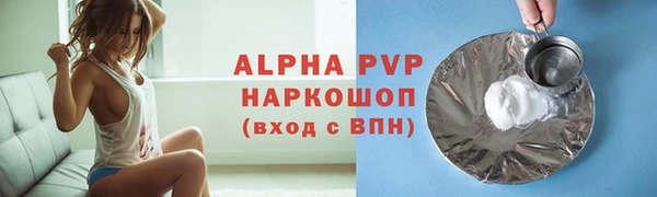 сатива Бородино