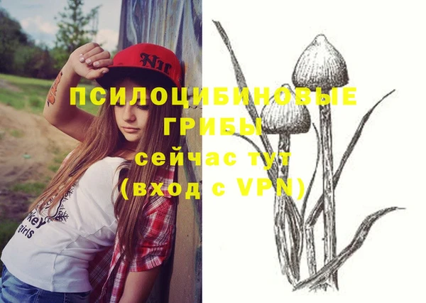 дживик Бугульма