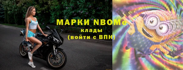сатива Бородино