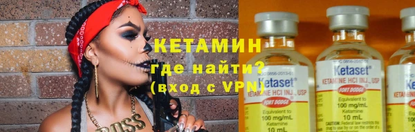 сатива Бородино