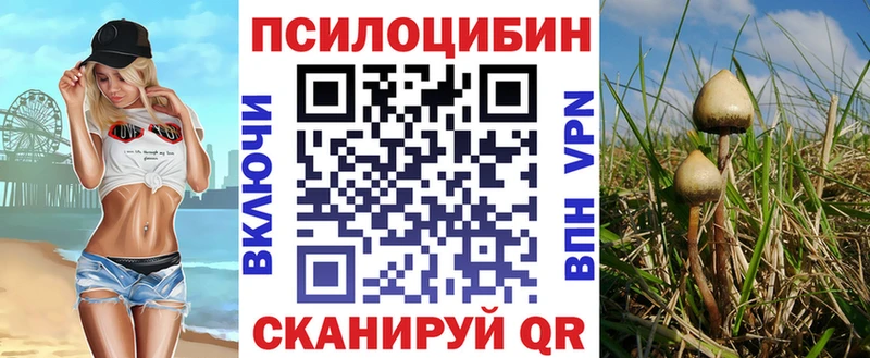 даркнет сайт Мытищи Псилоцибиновые грибы прущие грибы