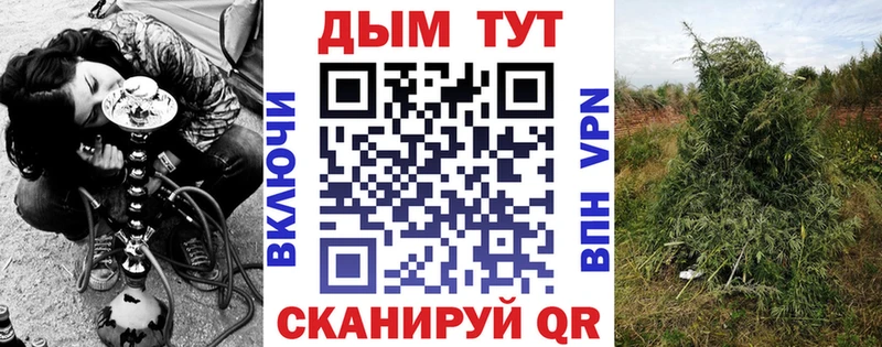 Марихуана Bruce Banner  Мытищи 